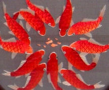 両面刺繍・ (仲良し金魚たち)・中国伝統工芸品 置物 ギフト