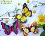 手芸蝶々（Ｍ）（中） インテリア小物・中国雑貨